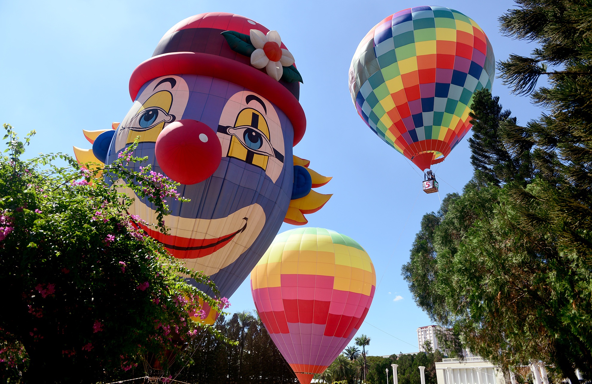 Hang loat khinh khi cau lo lung giua Sai Gon hinh anh