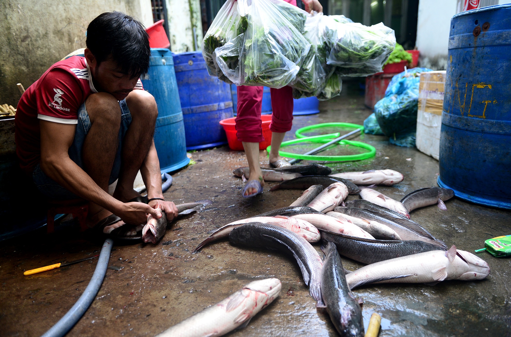 ca loc nuong cung via Than tai anh 5