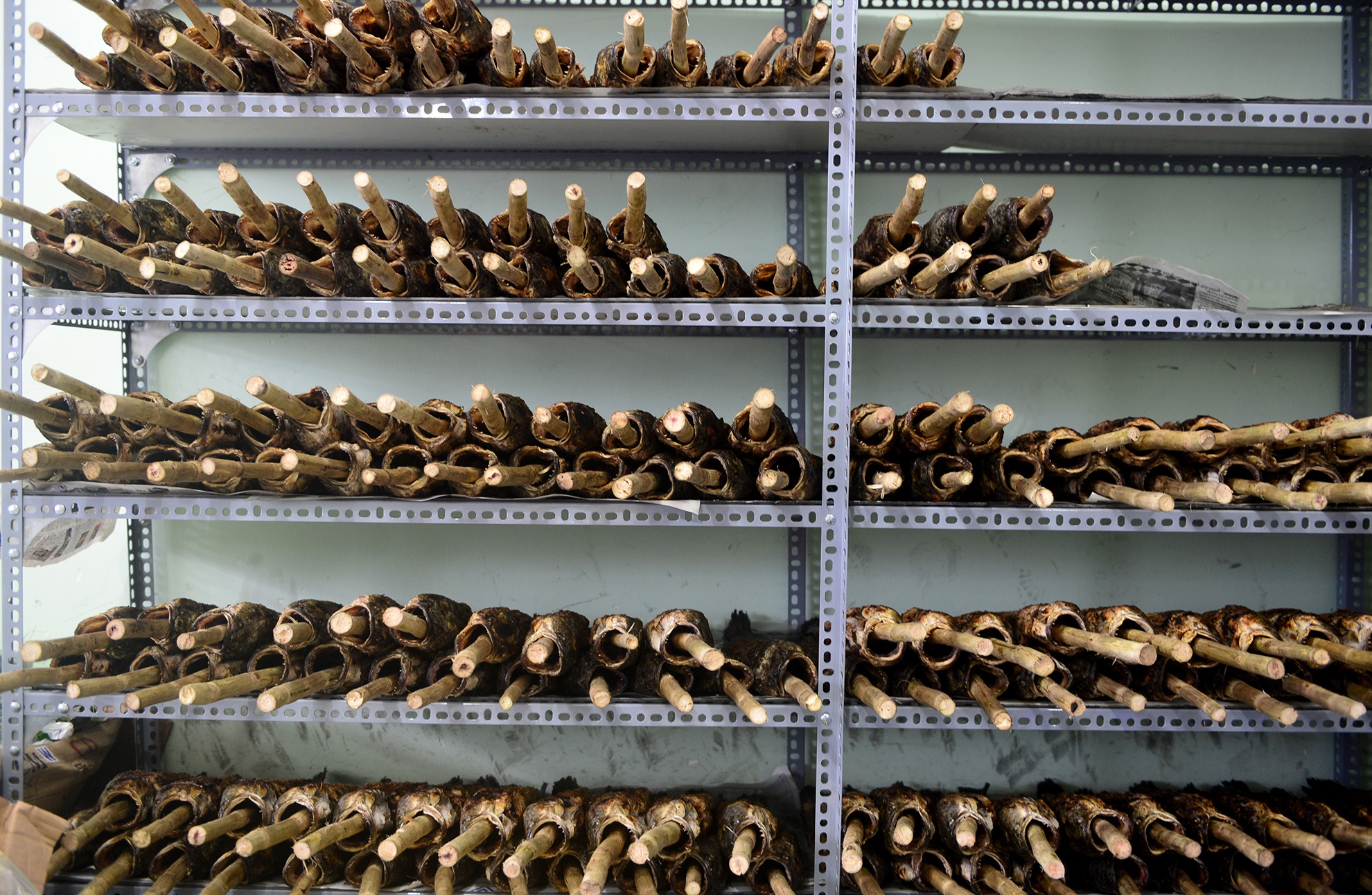 ca loc nuong cung via Than tai anh 8