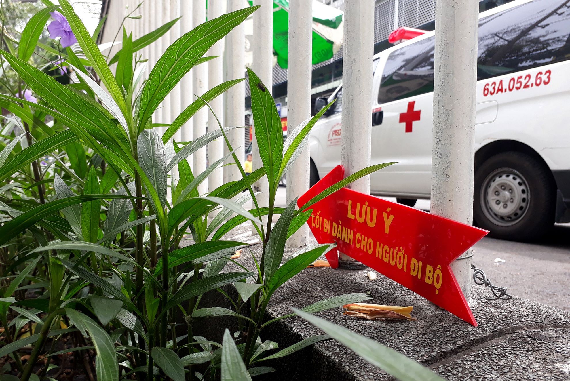 rao chan via he nhu chuong lon o Sai Gon anh 9