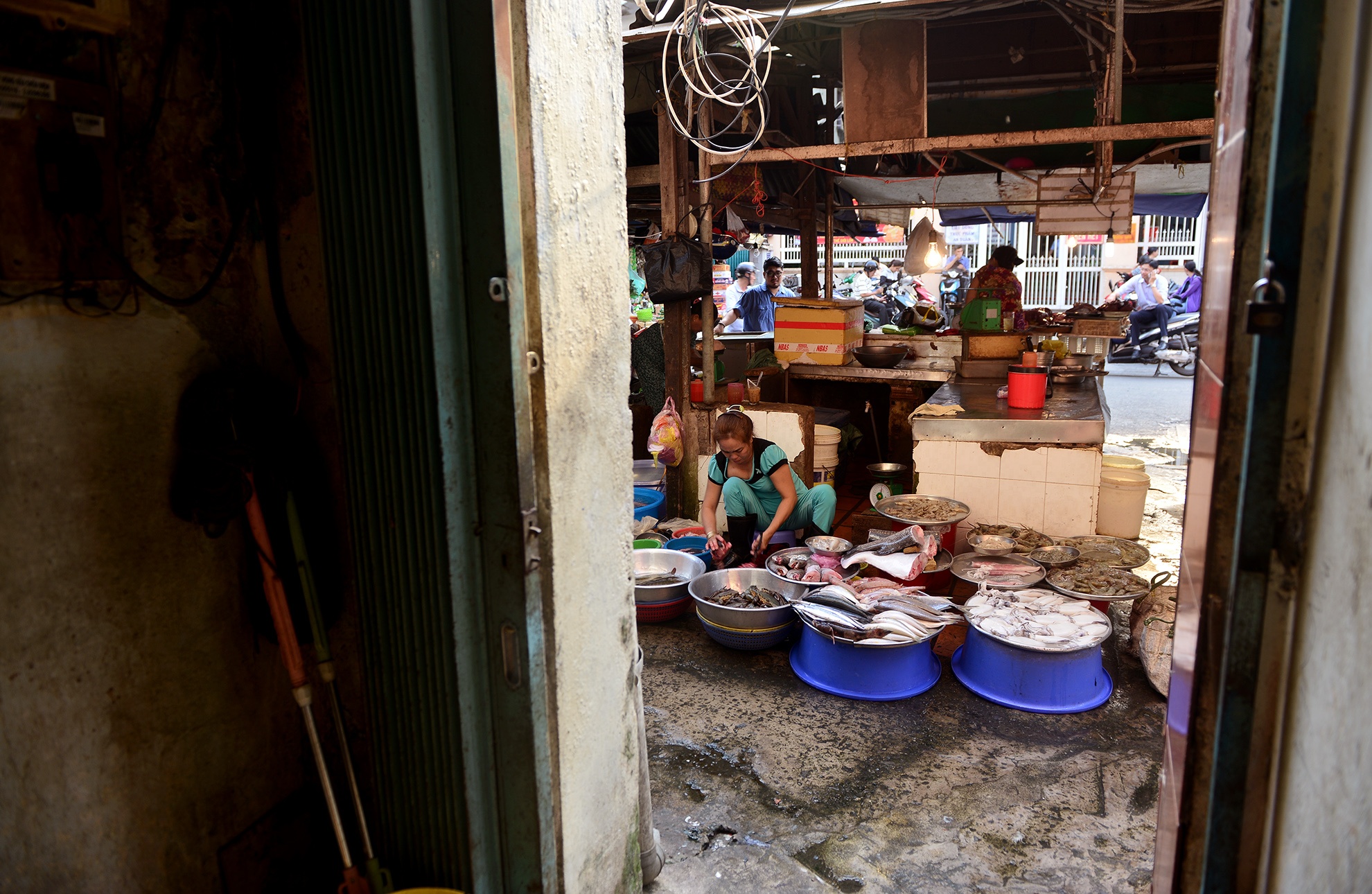 cho cu nhech nhac nam giua duong trung tam quan 1 anh 17