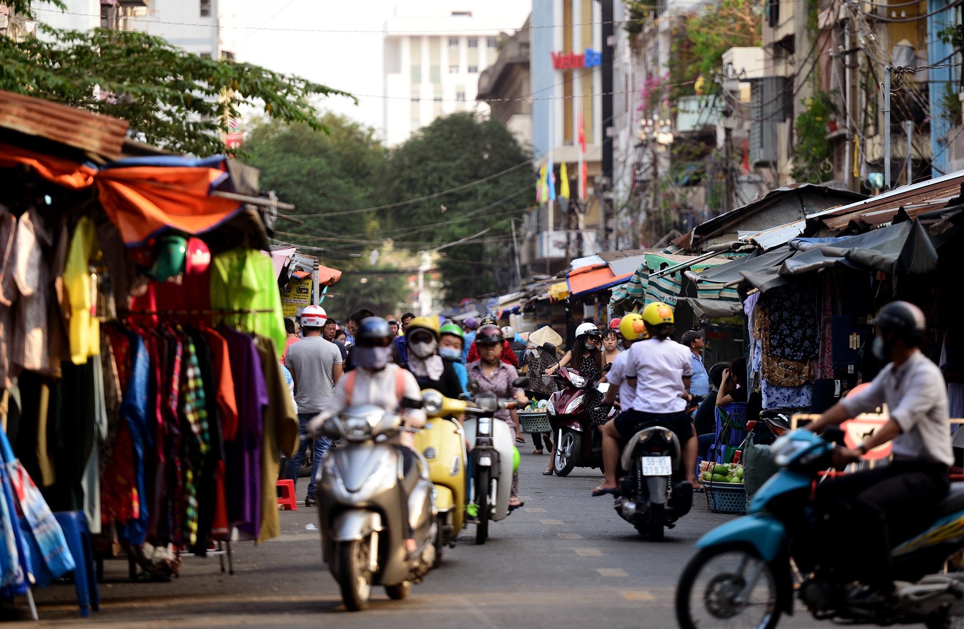 cho cu nhech nhac nam giua duong trung tam quan 1 anh 5