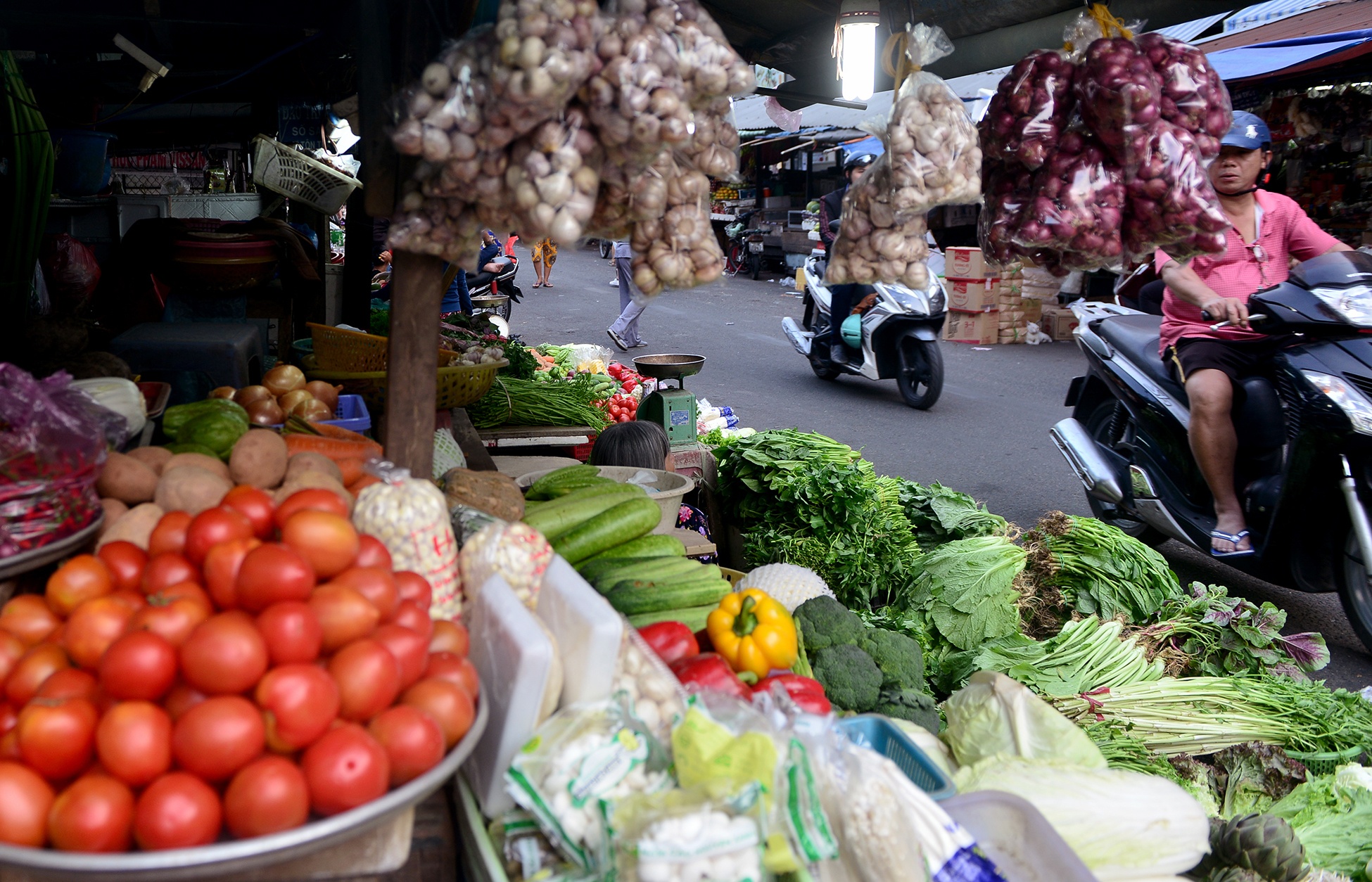 cho cu nhech nhac nam giua duong trung tam quan 1 anh 6