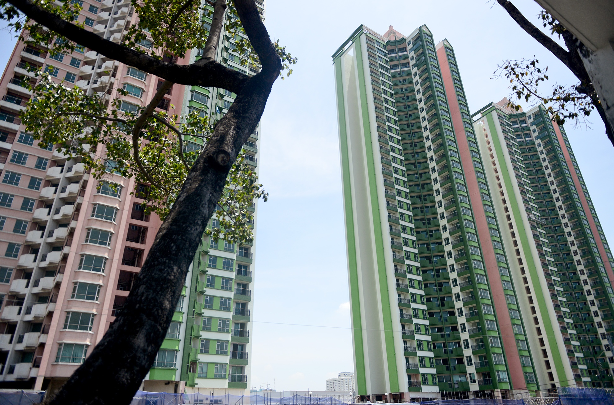 Thuan Kieu Plaza bat ngo 'doi ao' tu hong sang xanh la hinh anh