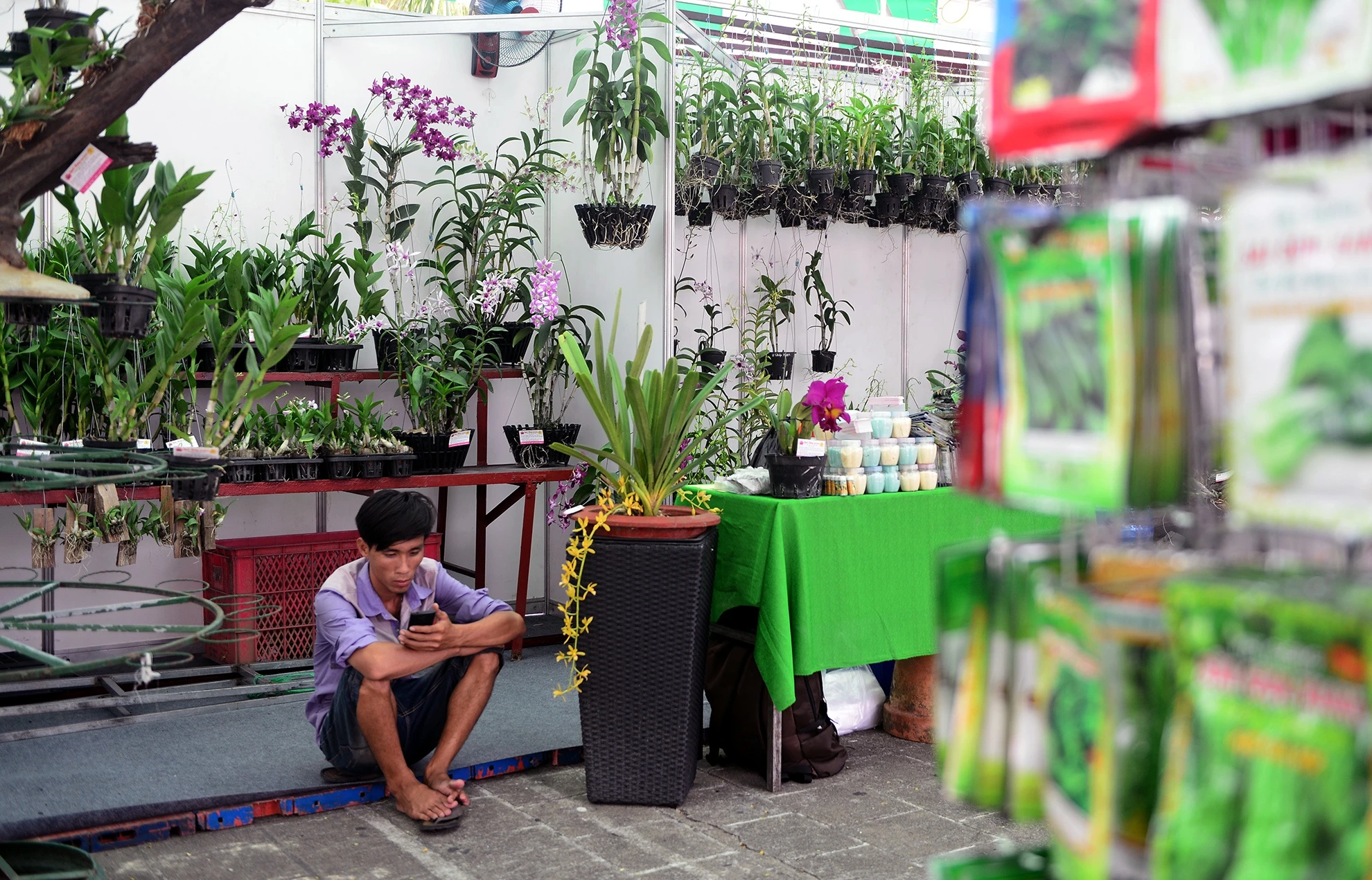 cho phien cuoi tuan trong cong vien ben Bach Dang anh 9