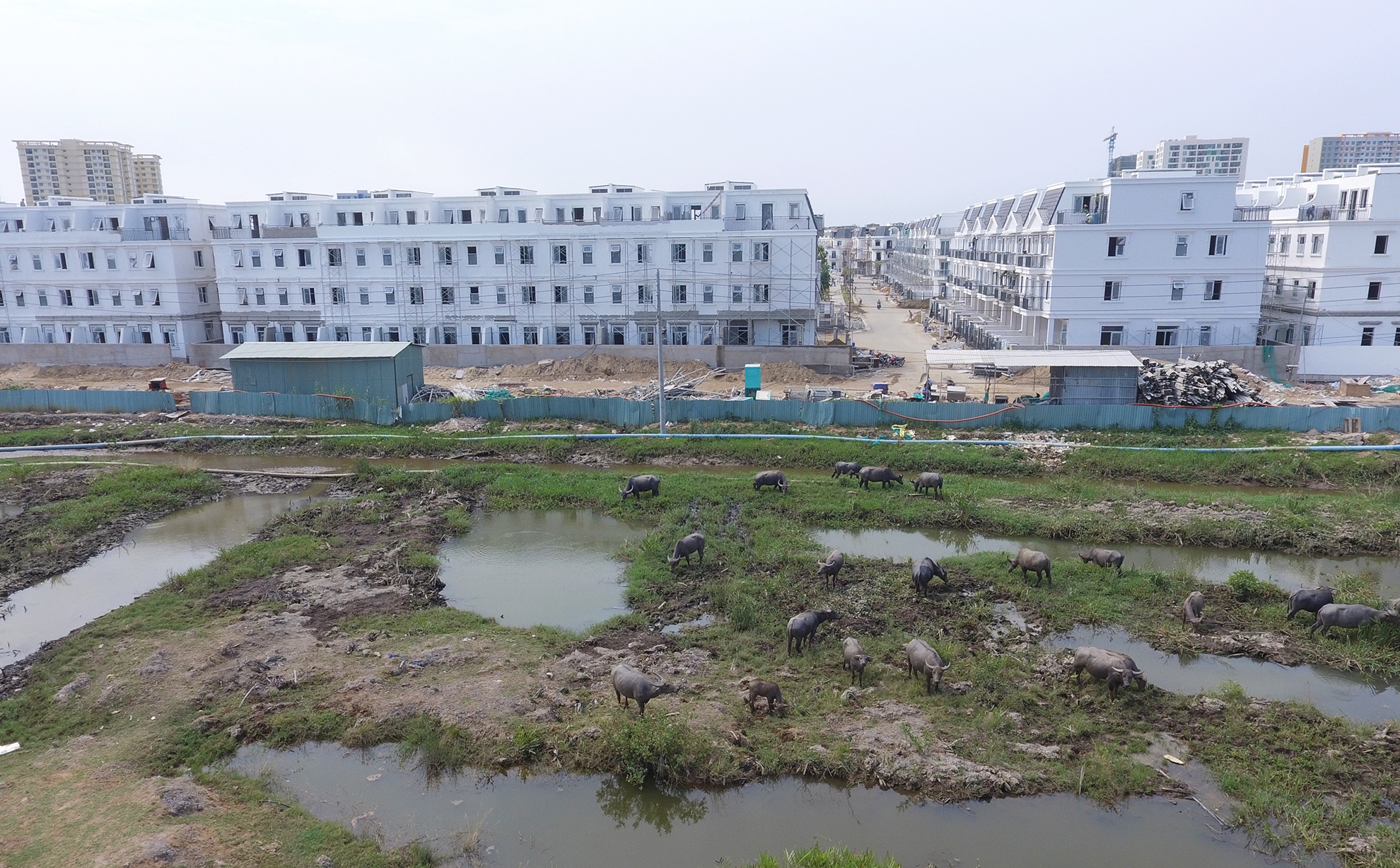 ha tang khu dong TP.HCM hut du an bat dong san anh 12