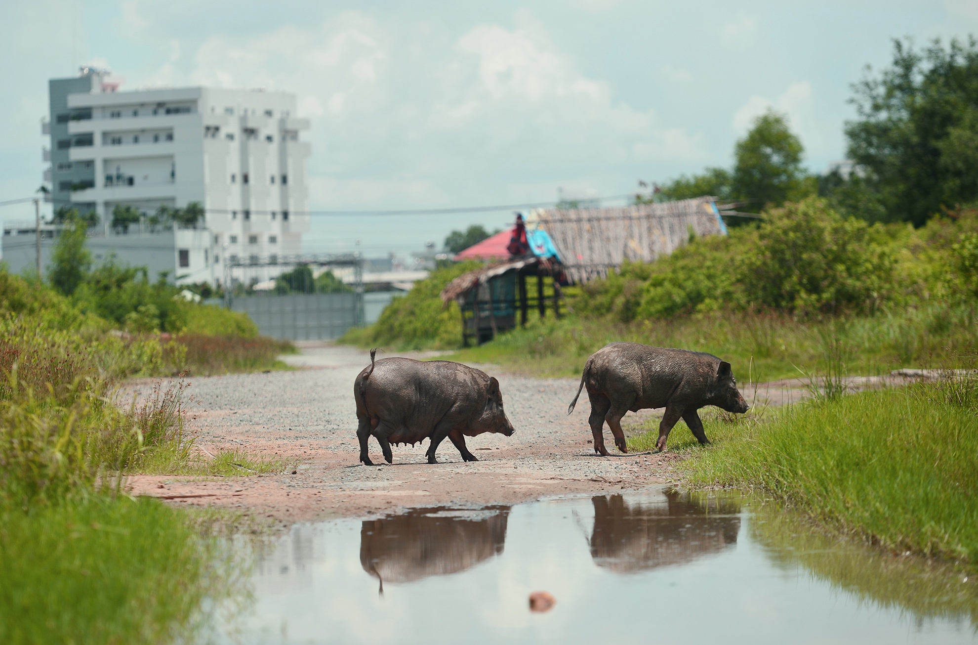 du an 6 ty cua dai gia Truong My Lan dung thi cong anh 13