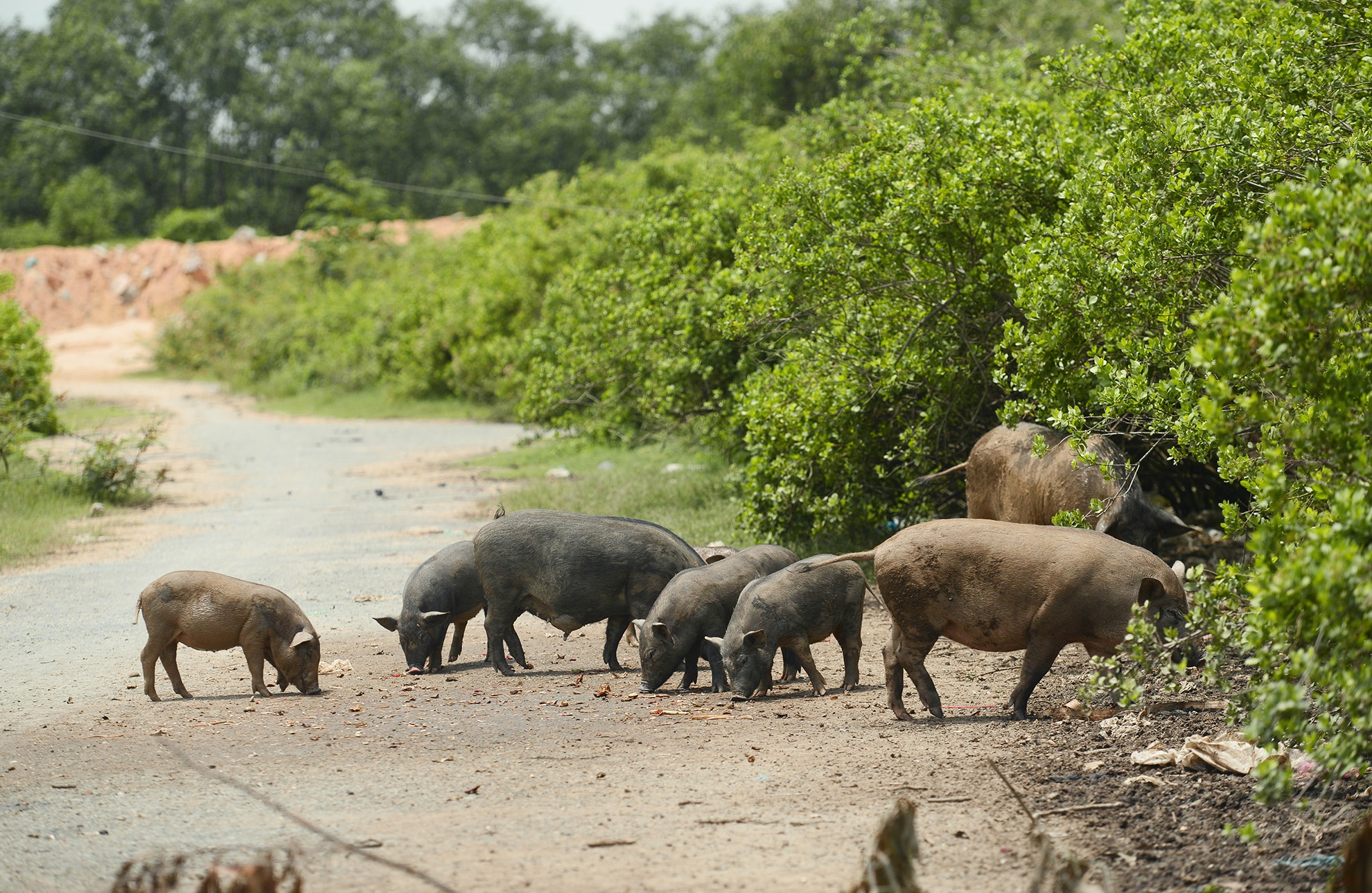 du an 6 ty cua dai gia Truong My Lan dung thi cong anh 14