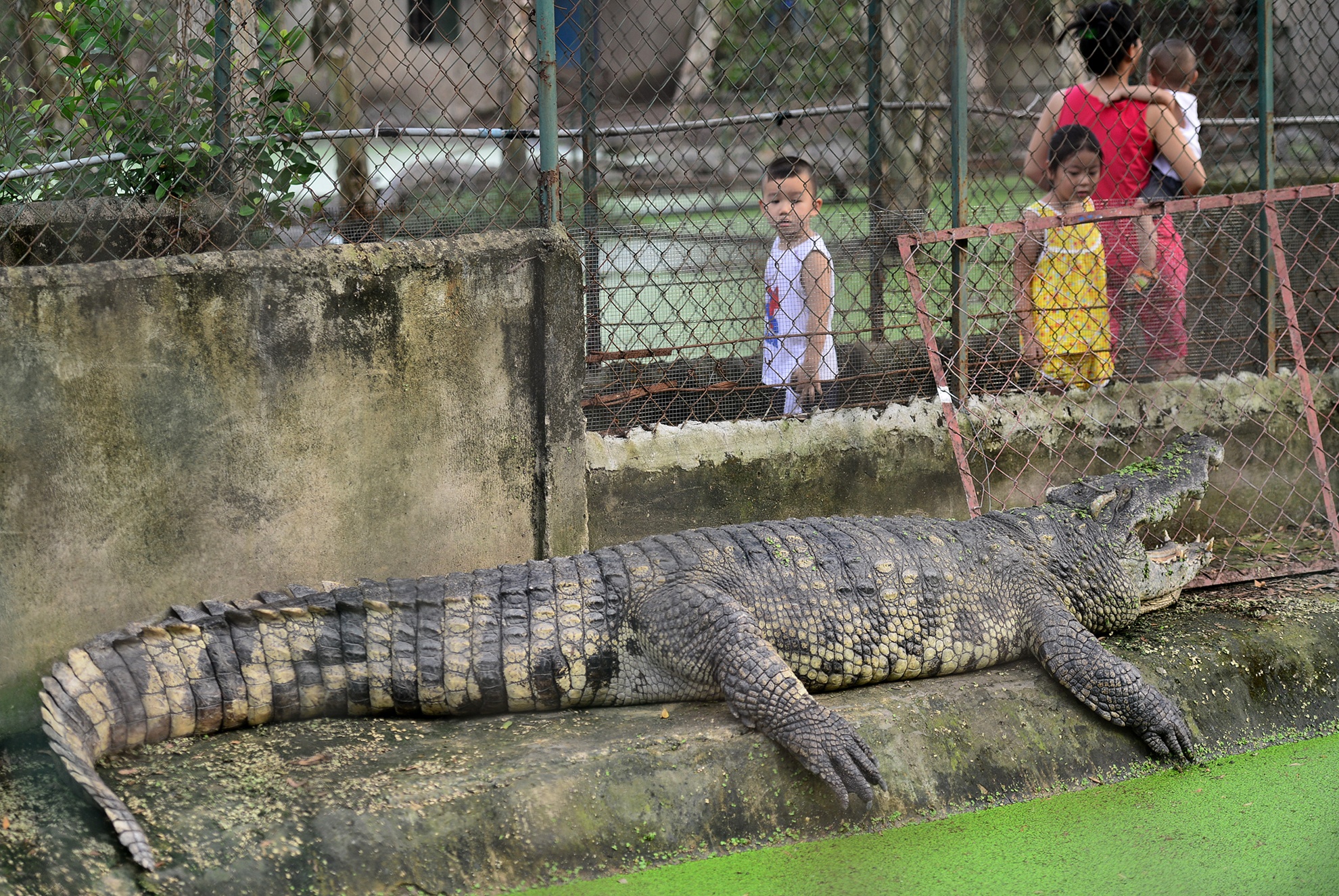 Ben trong trai ca sau san xuat khep kin o Sai Gon anh 12