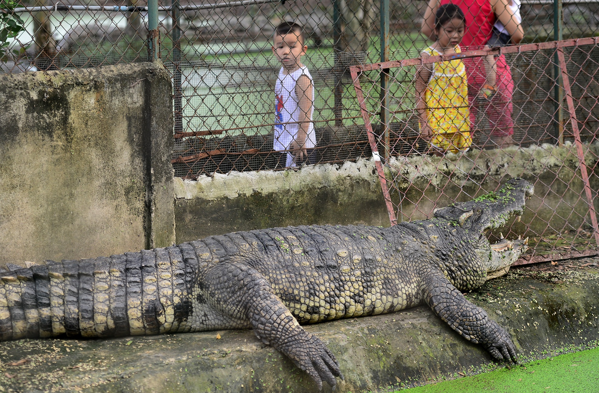 Ben trong trai nuoi hang nghin con ca sau o Sai Gon hinh anh