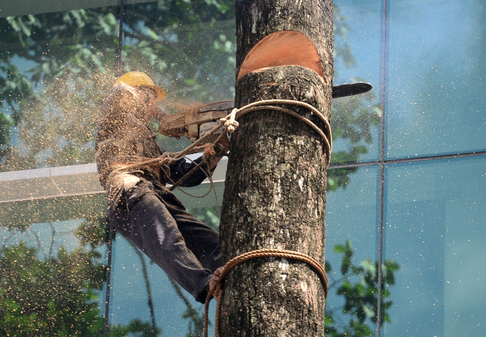 Don hang dau tren 50 nam tuoi o trung tam Sai Gon hinh anh