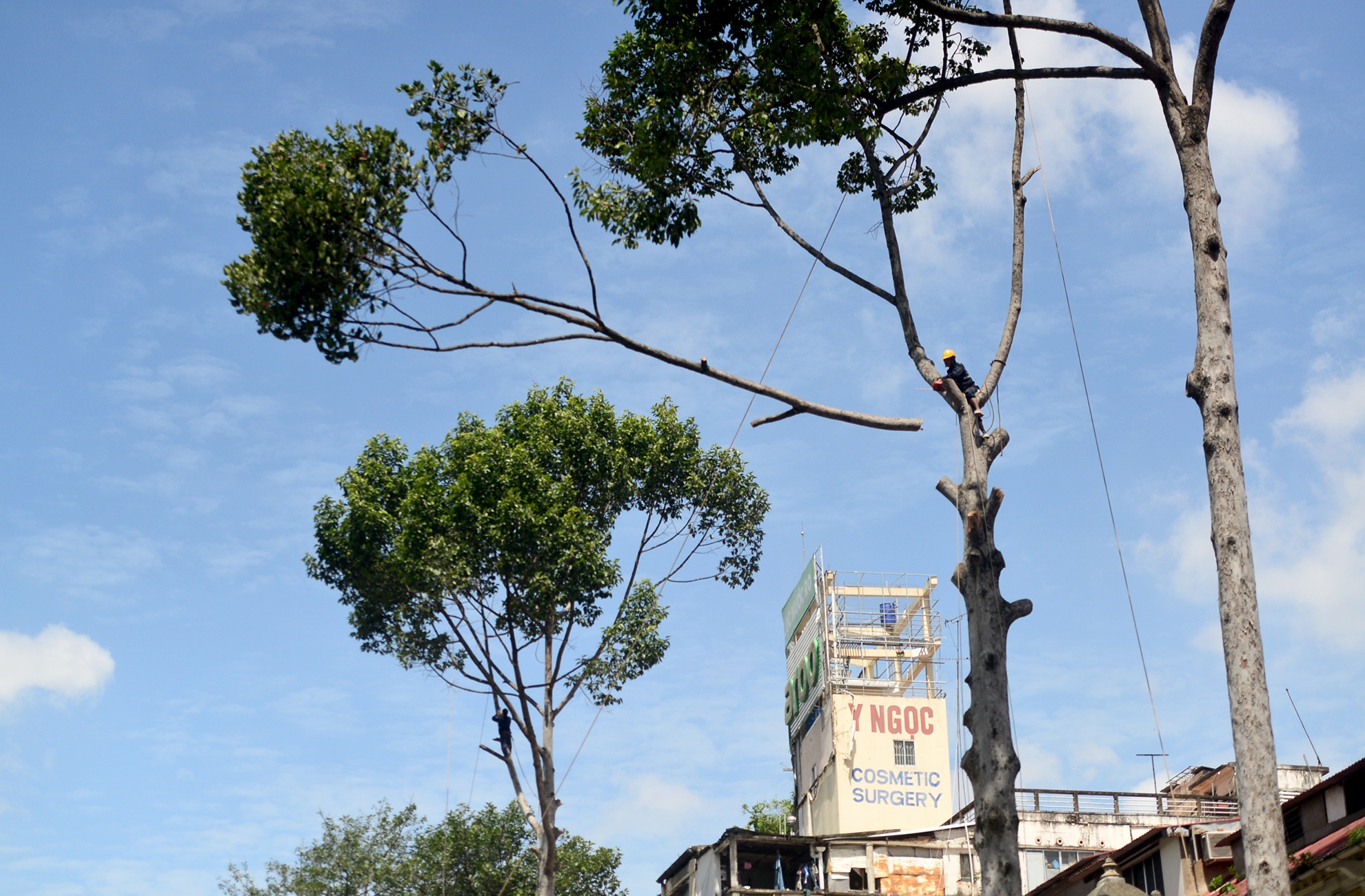 Don hang dau tren 50 nam tuoi o trung tam Sai Gon anh 2