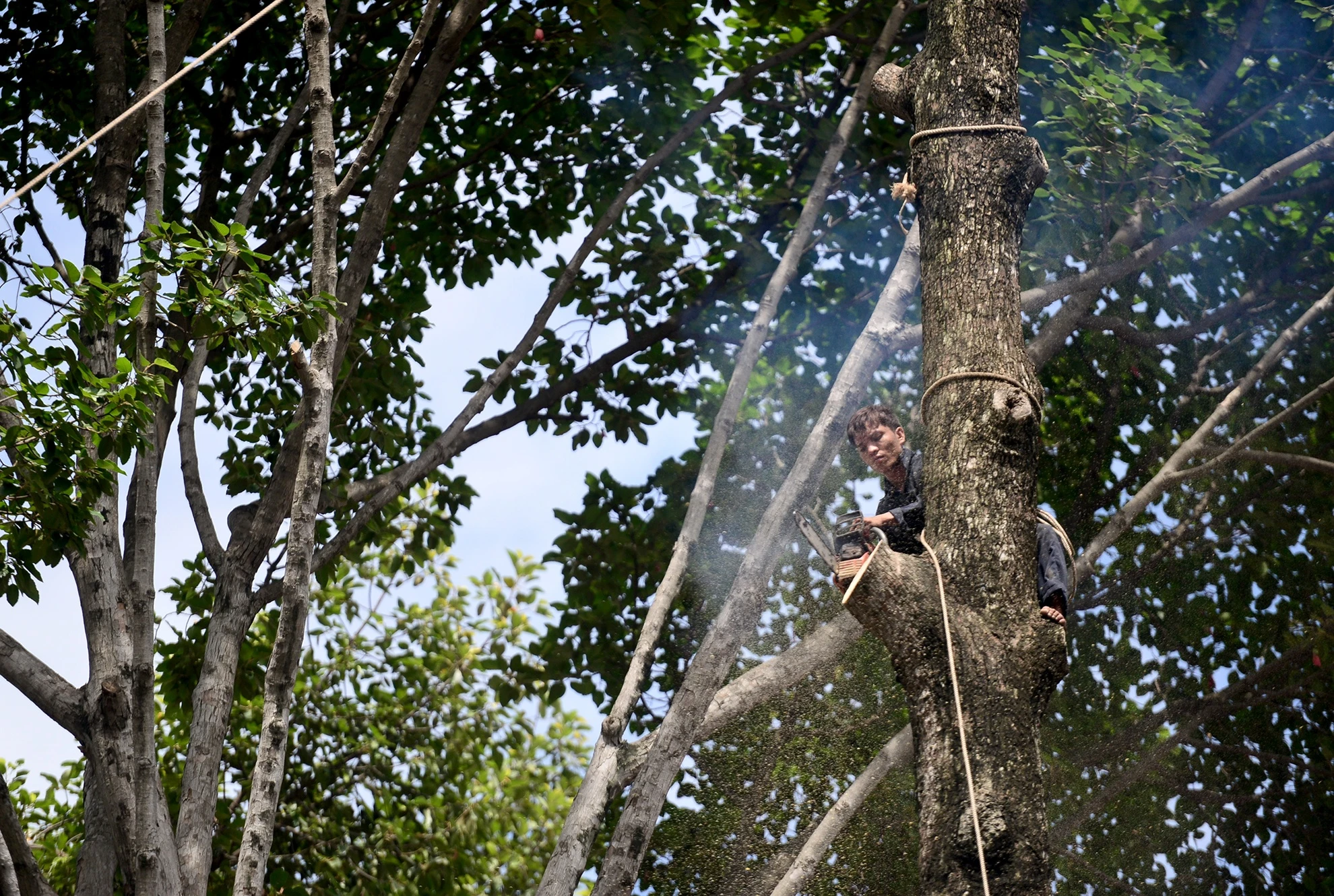 Don hang dau tren 50 nam tuoi o trung tam Sai Gon anh 3