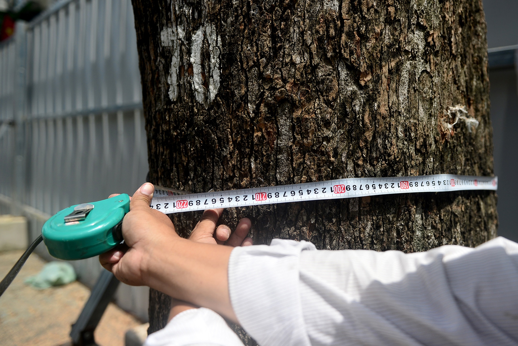 Don hang dau tren 50 nam tuoi o trung tam Sai Gon anh 4