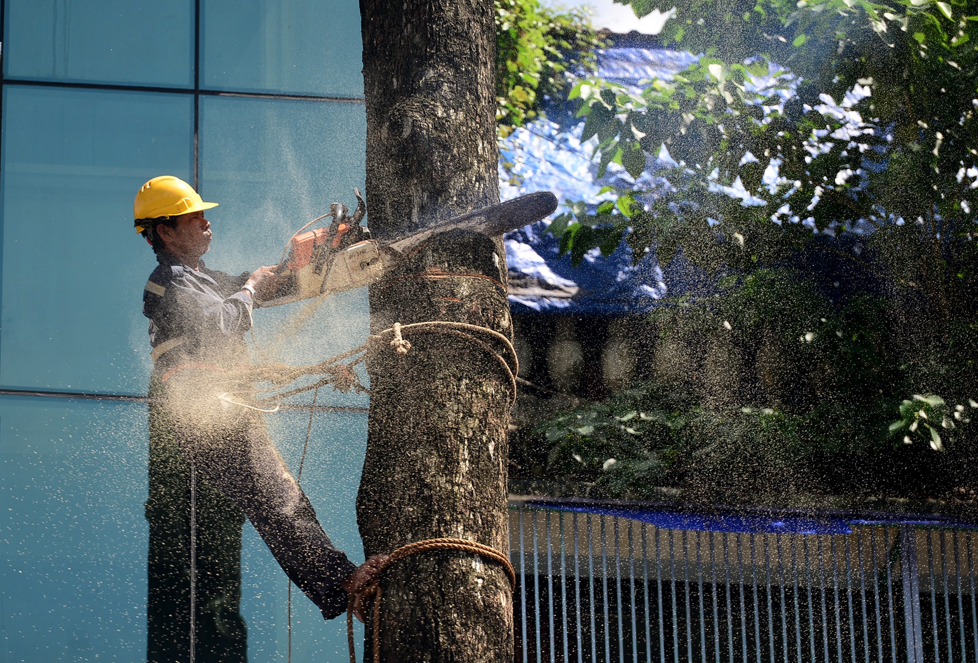 Don hang dau tren 50 nam tuoi o trung tam Sai Gon anh 5