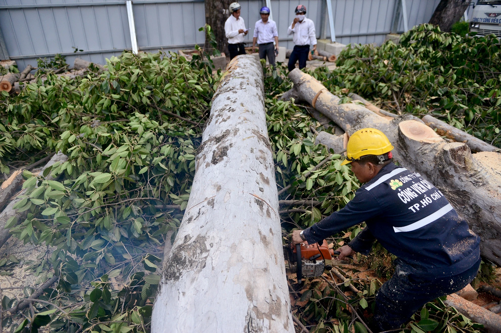Don hang dau tren 50 nam tuoi o trung tam Sai Gon anh 7
