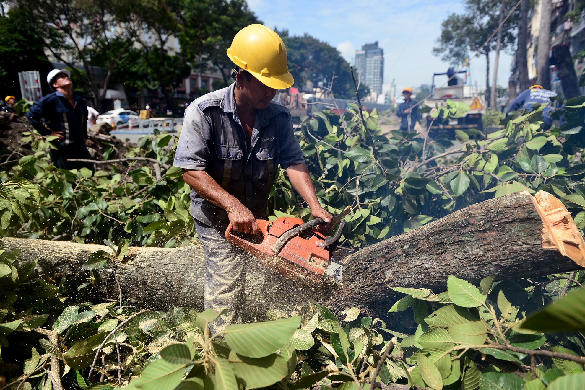 Don hang dau tren 50 nam tuoi o trung tam Sai Gon anh 8