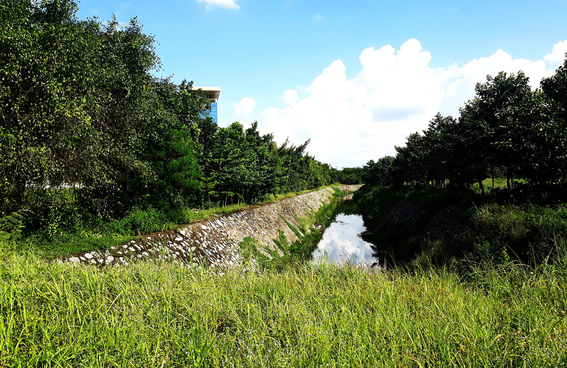 thanh pho moi Binh Duong,  thanh pho moi Binh Duong vang nguoi anh 5