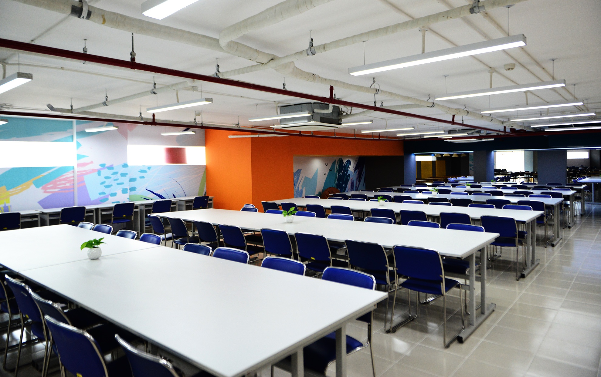 Thu vien tuyet dep o Sai Gon anh 18