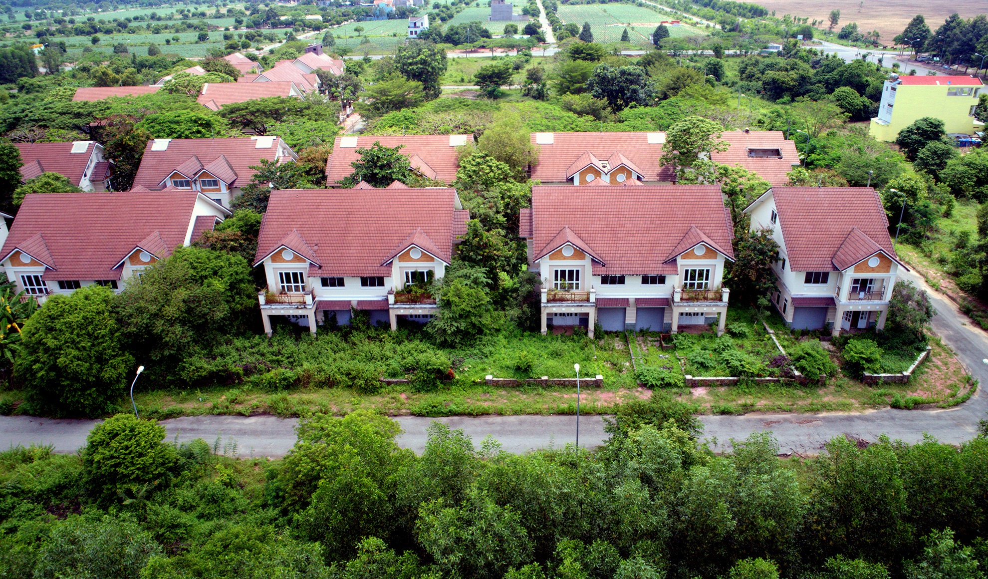 Canh hoang vang o thanh pho moi Nhon Trach anh 12