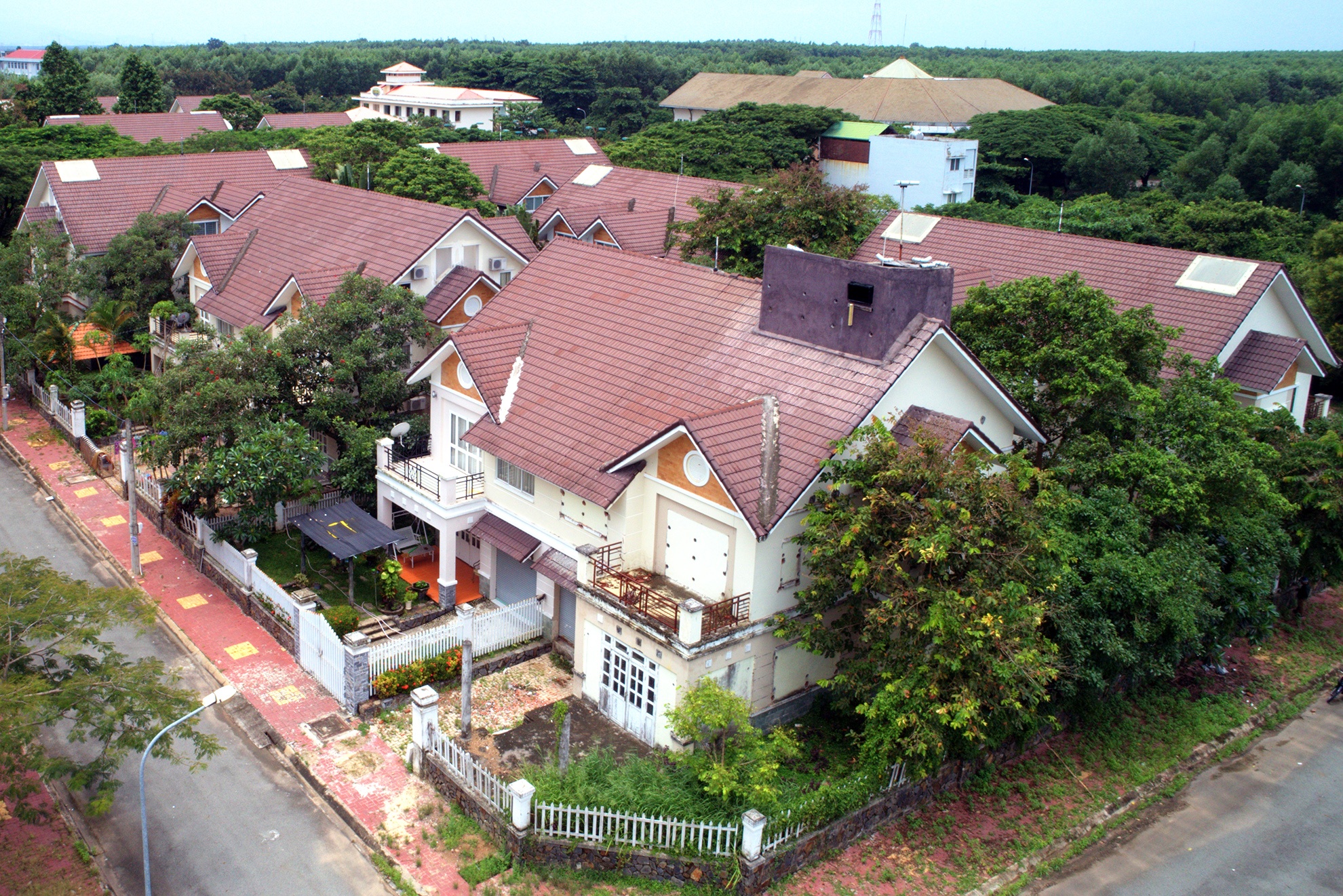 Canh hoang vang o thanh pho moi Nhon Trach anh 13