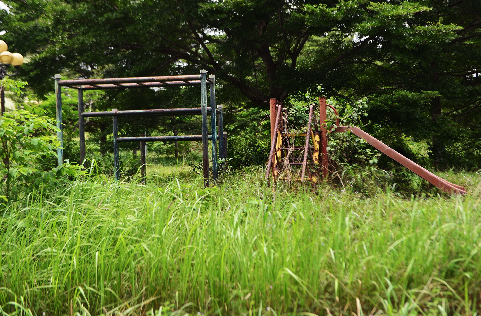 Canh hoang vang o thanh pho moi Nhon Trach anh 17