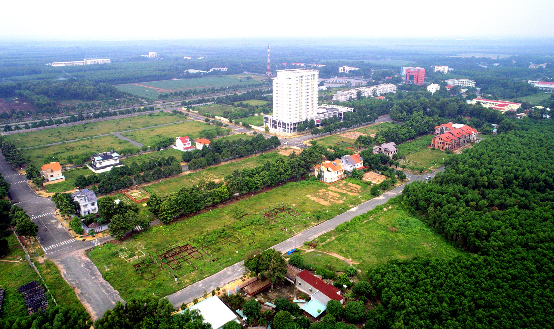 Canh hoang vang o thanh pho moi Nhon Trach anh 1