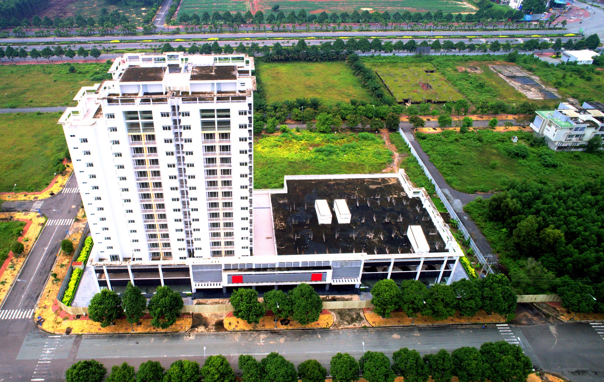 Canh hoang vang o thanh pho moi Nhon Trach anh 2