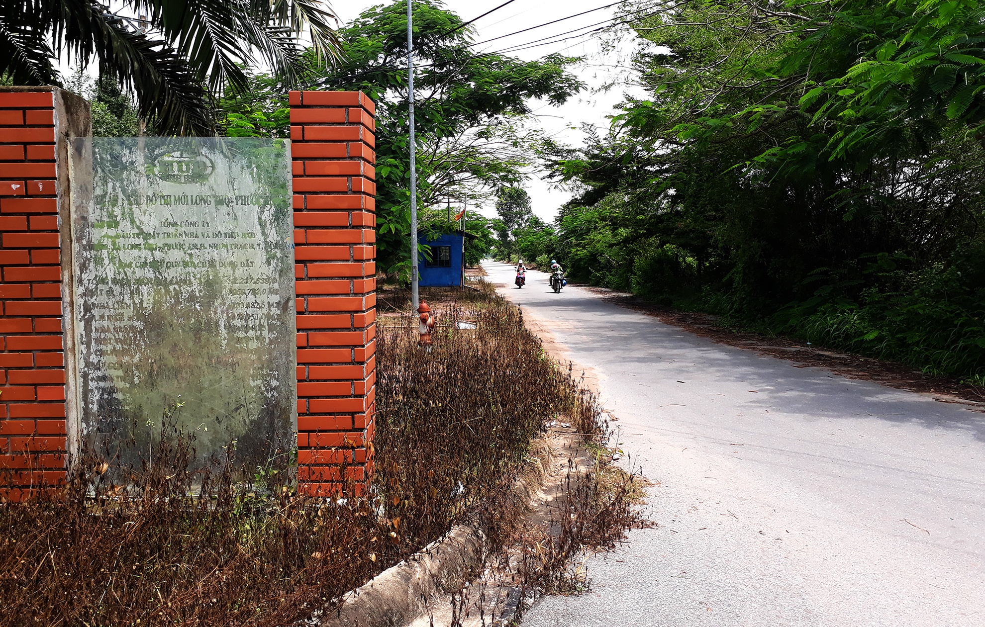 Canh hoang vang o thanh pho moi Nhon Trach anh 6