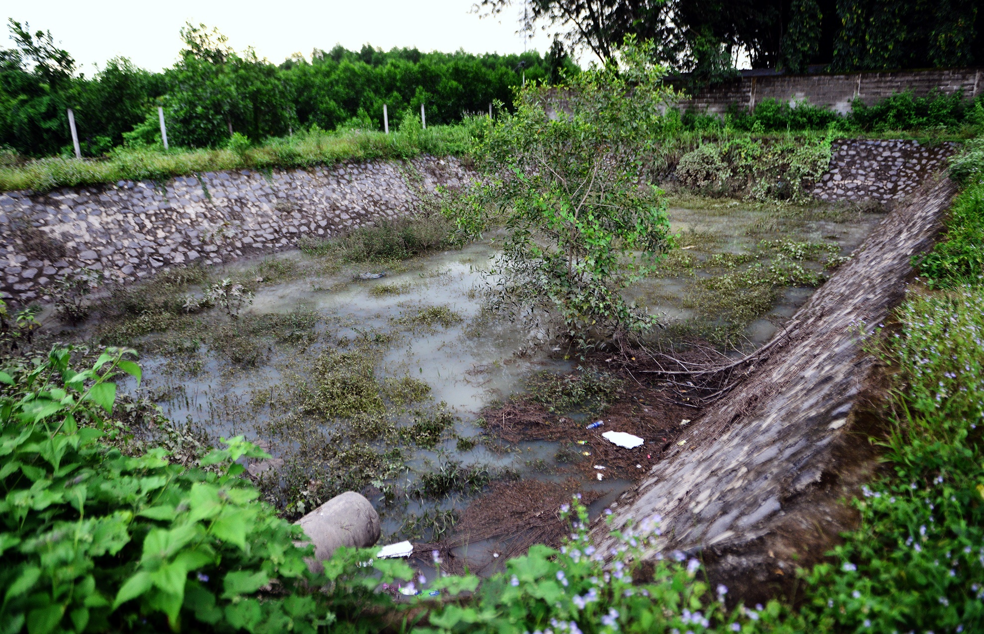 phan lo ban nen quanh san bay Long Thanh anh 9