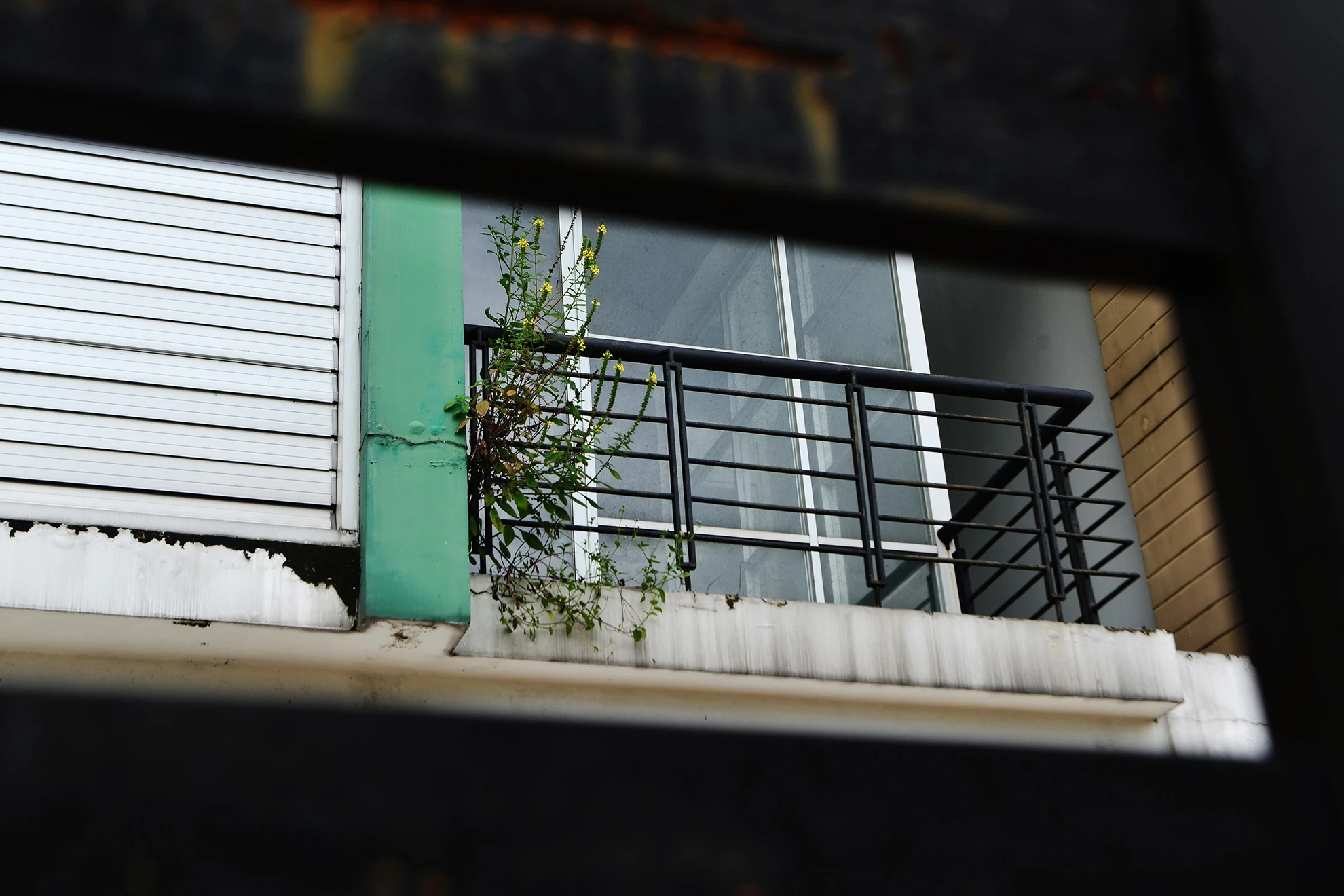 biet thu,  nha pho bo hoang o Binh Duong anh 21