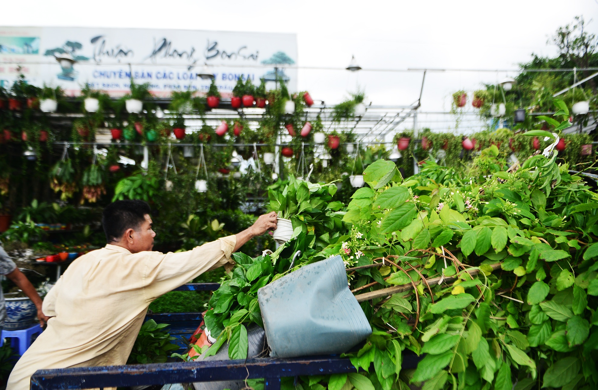 day kiot,  cay xang giap san bay Tan Son Nhat anh 8