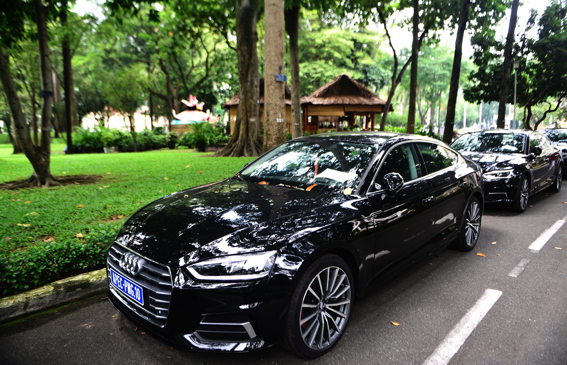 Dan sieu xe Audi phuc vu APEC trong Dinh Thong Nhat hinh anh