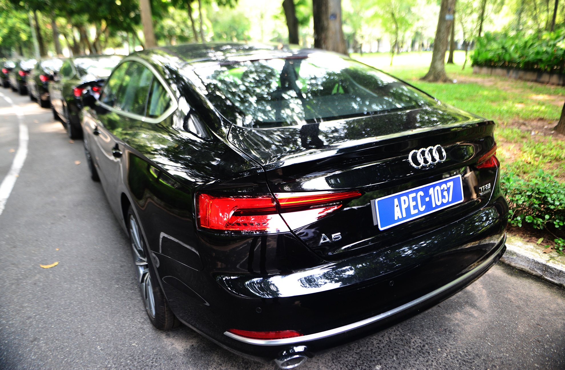 Can canh dan xe audi phuc vu APEC anh 5