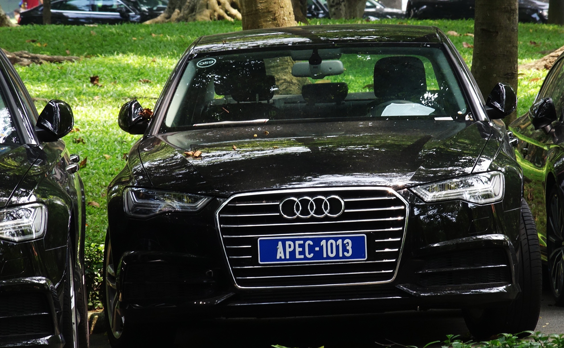 Can canh dan xe audi phuc vu APEC anh 7