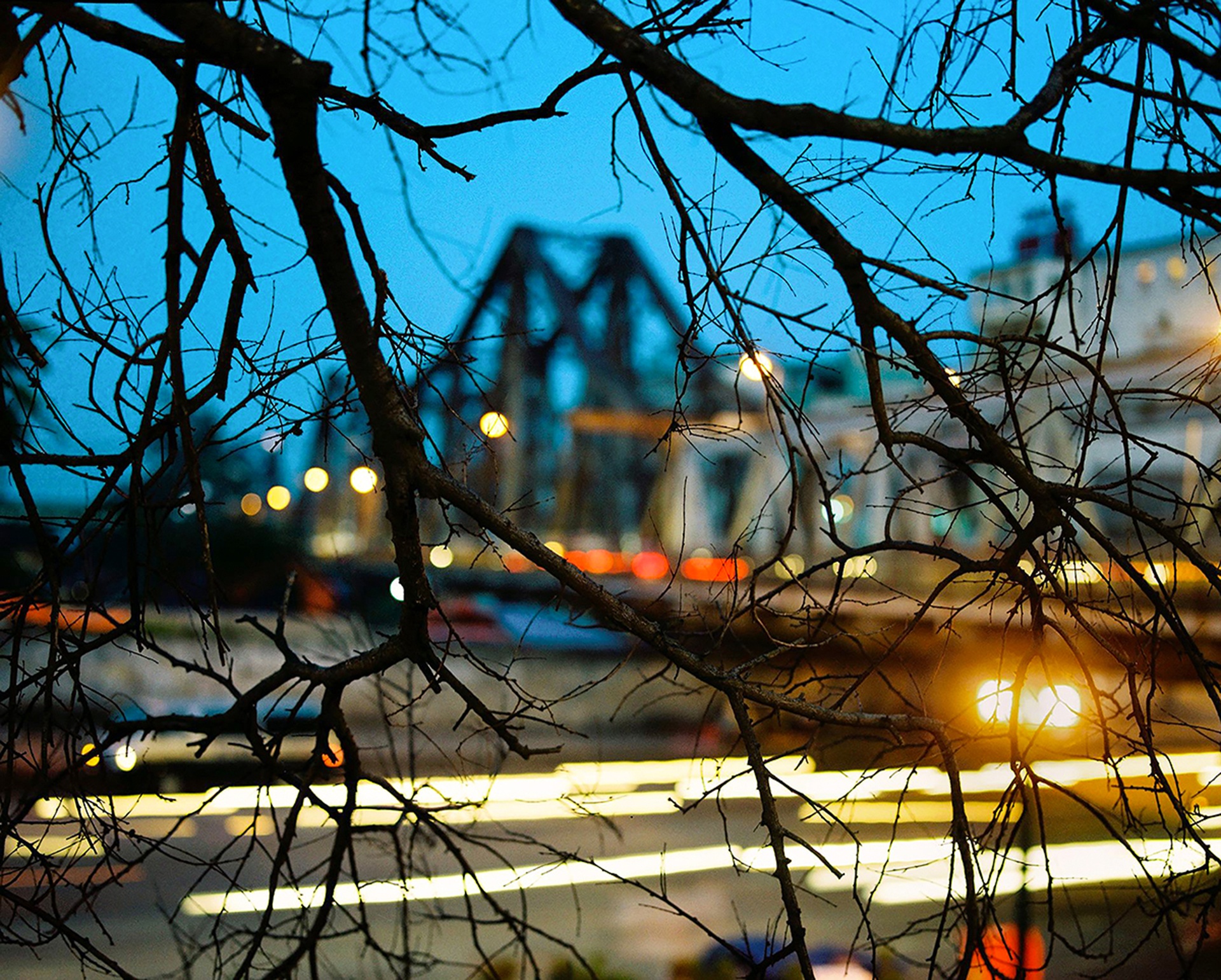 Trien lam Anh Film & Ha Noi anh 5