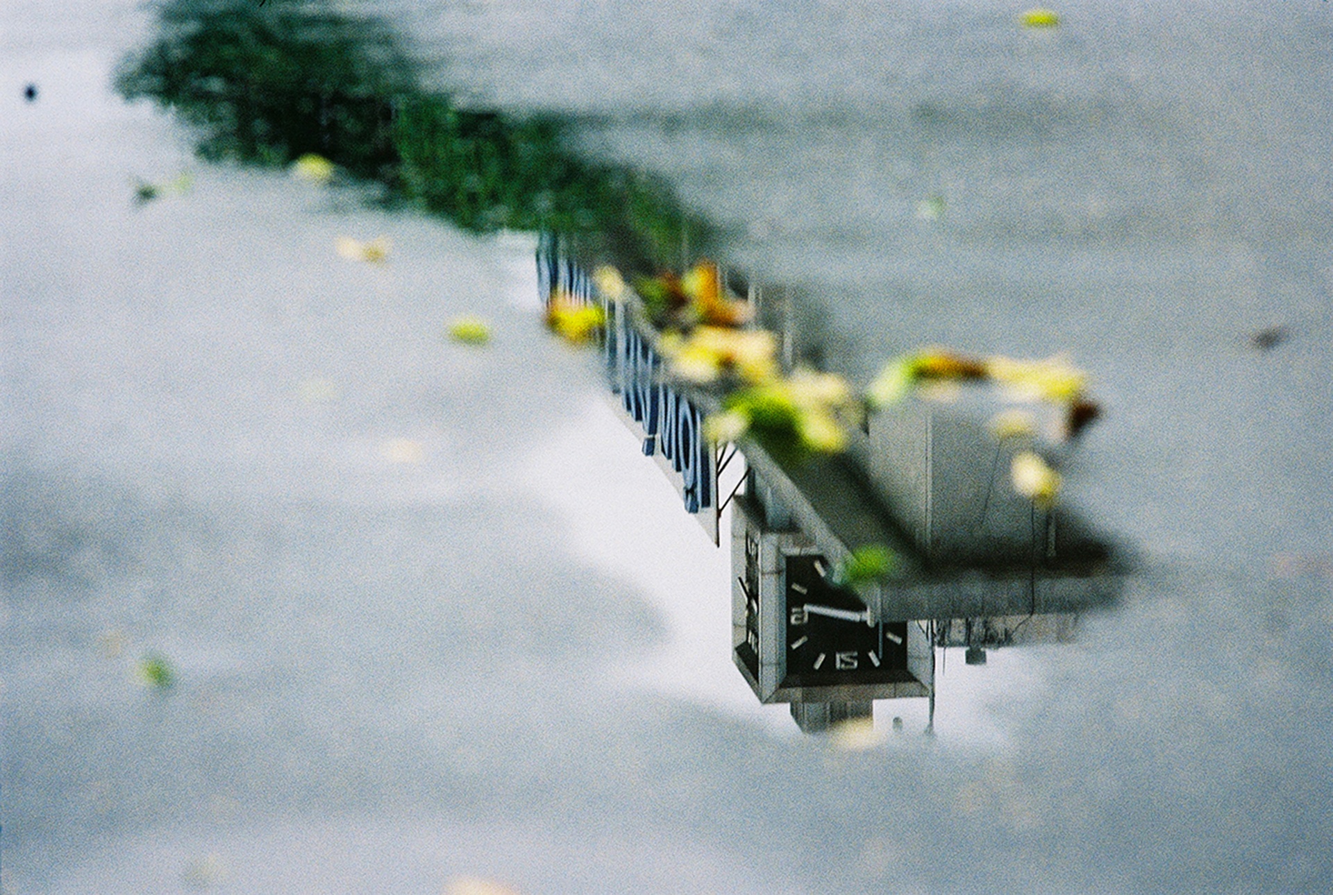 Trien lam Anh Film & Ha Noi anh 9