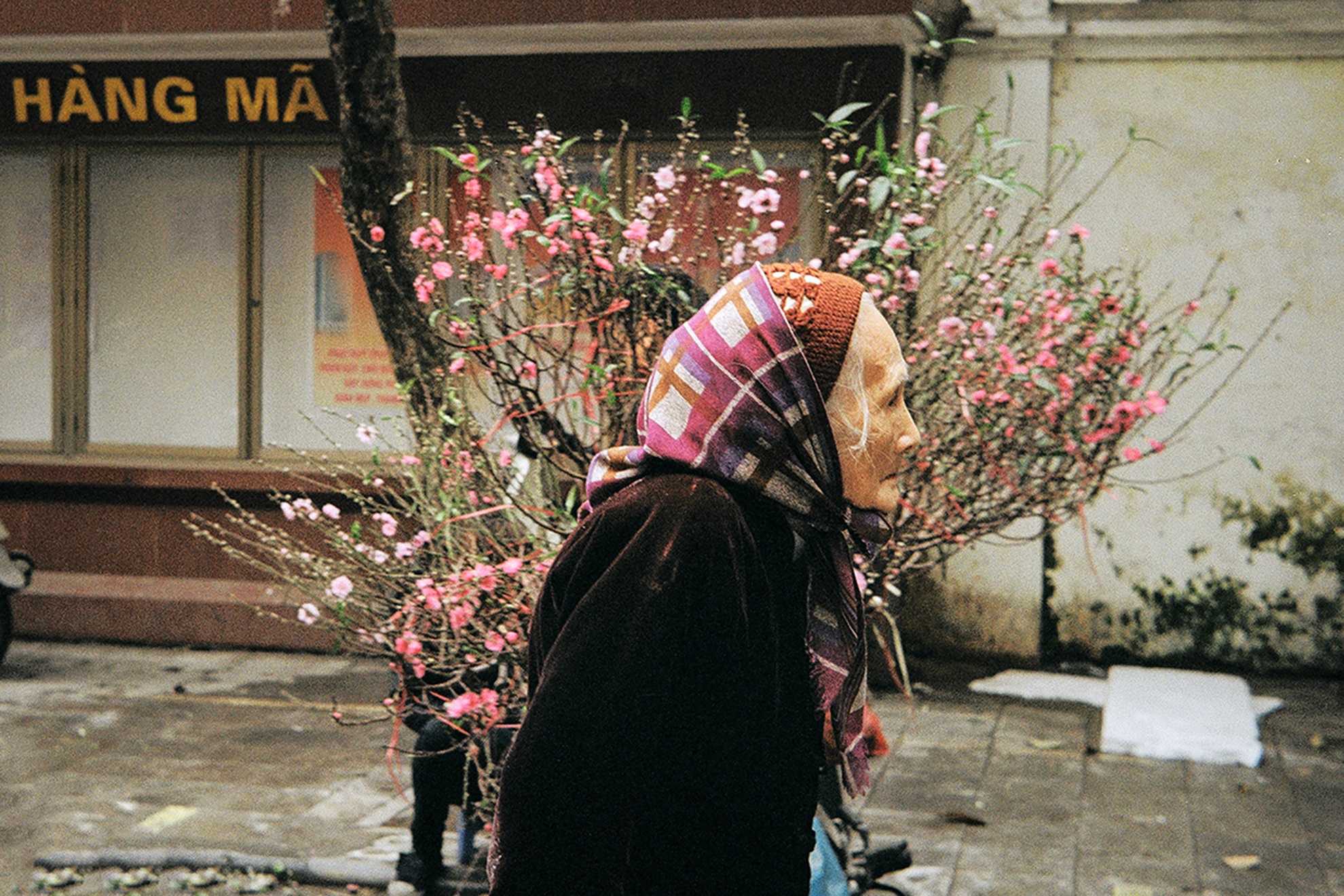 Trien lam Anh Film & Ha Noi anh 7