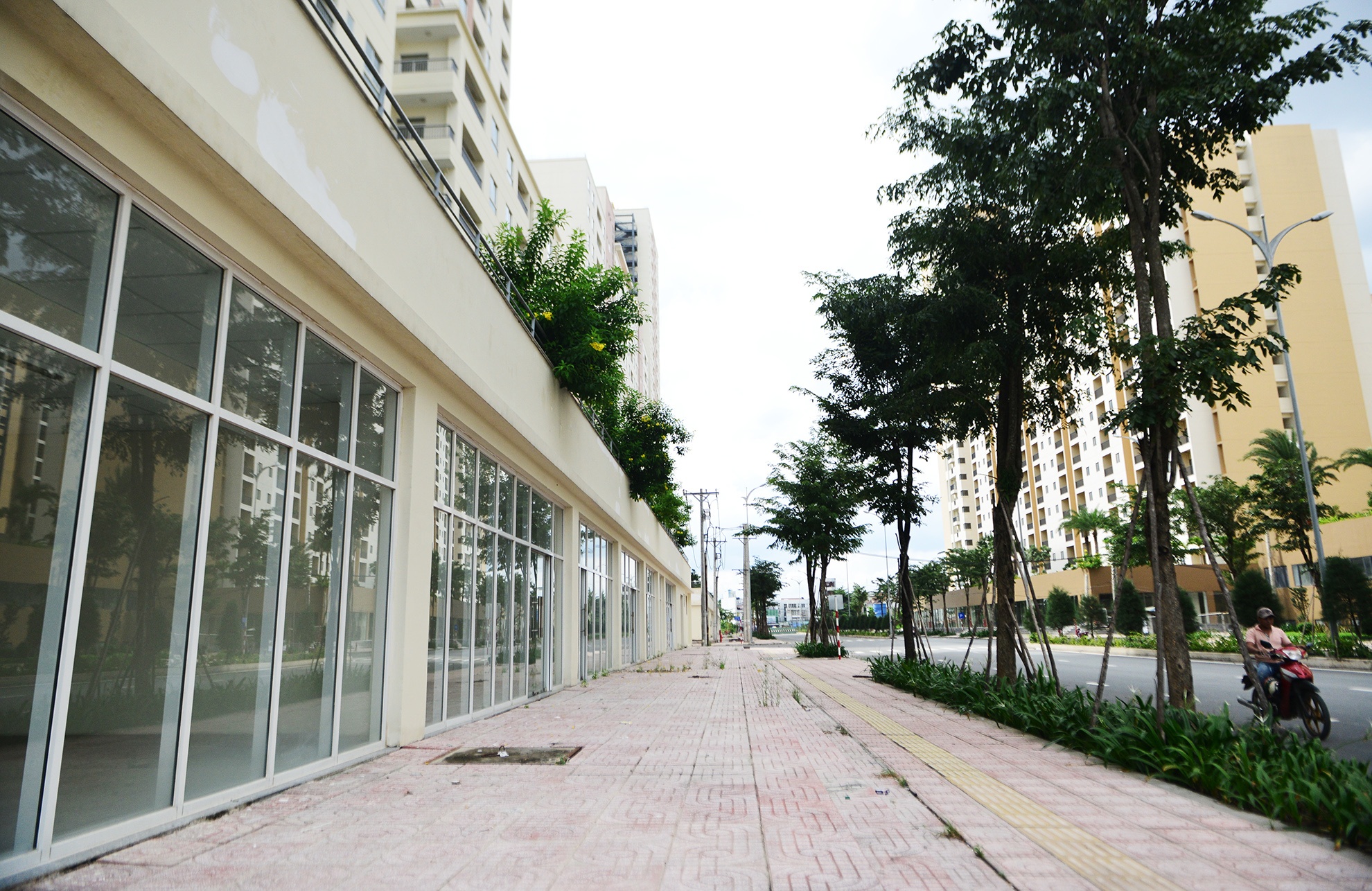 Toan canh khu tai dinh cu lon nhat TP.HCM anh 13