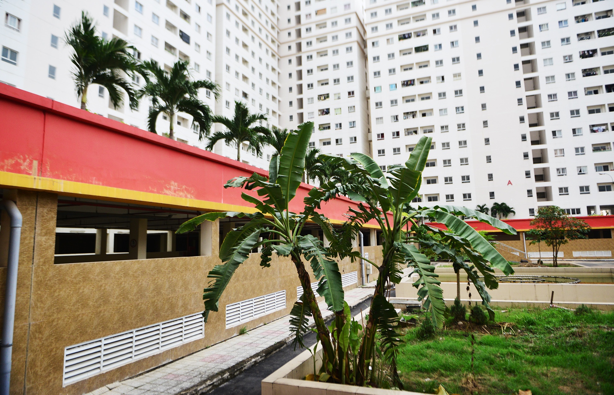 Toan canh khu tai dinh cu lon nhat TP.HCM anh 17