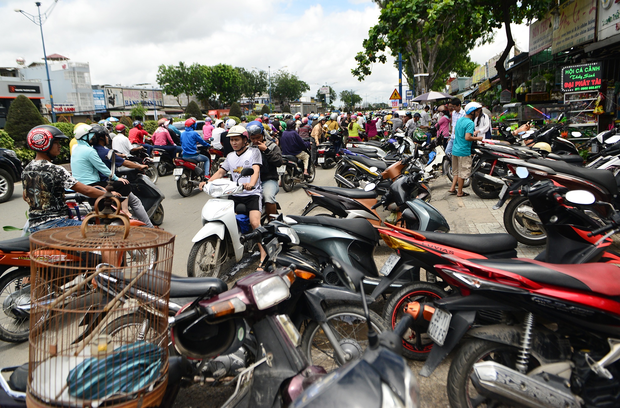 xa hang day kiot giap san bay Tan Son Nhat anh 3