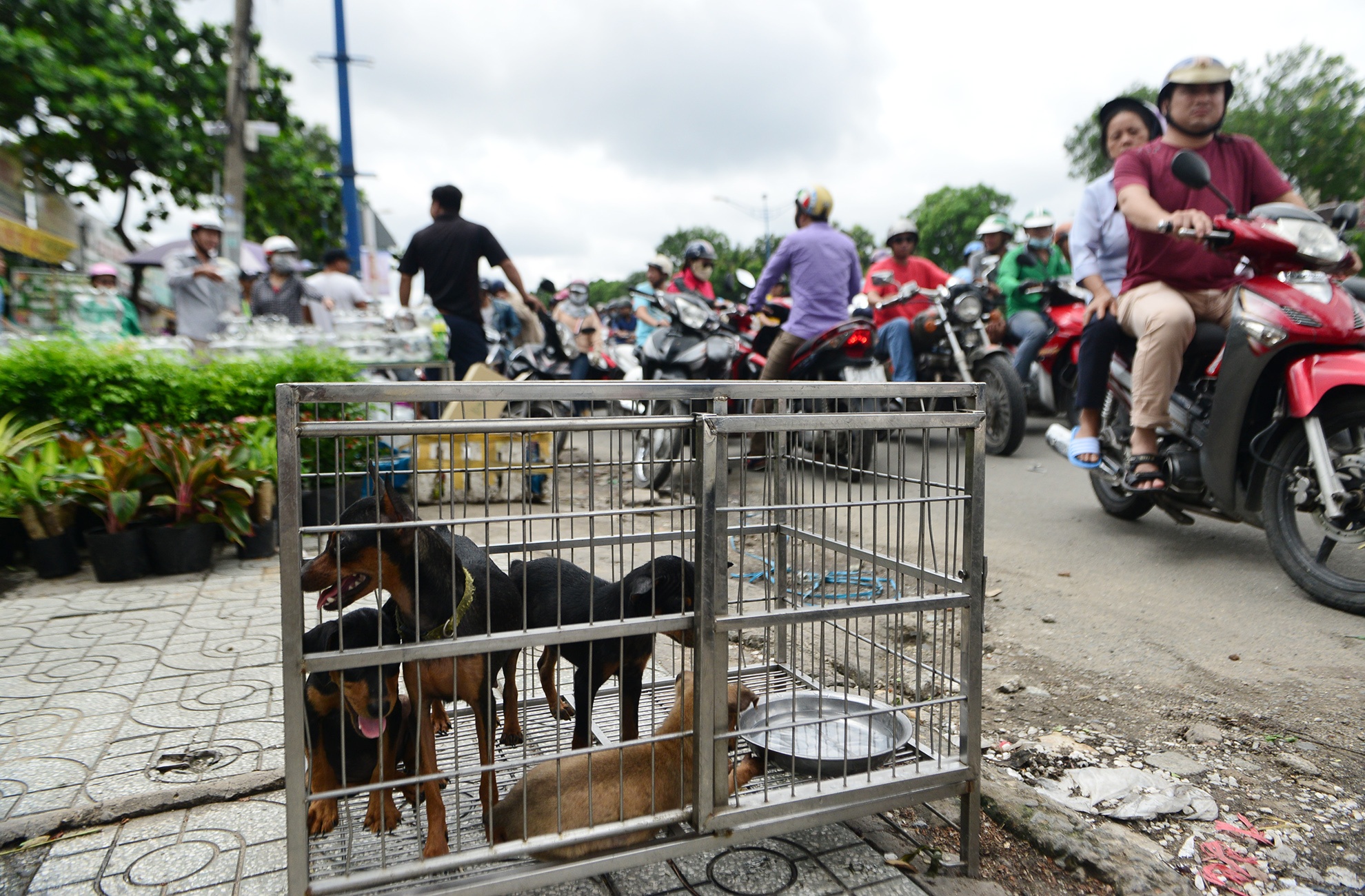 xa hang day kiot giap san bay Tan Son Nhat anh 6