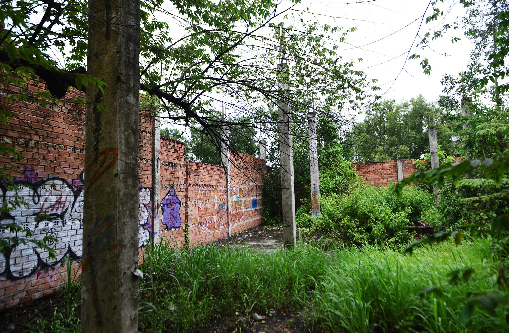 Canh mien que tren ban dao gan trung tam Sai Gon anh 11