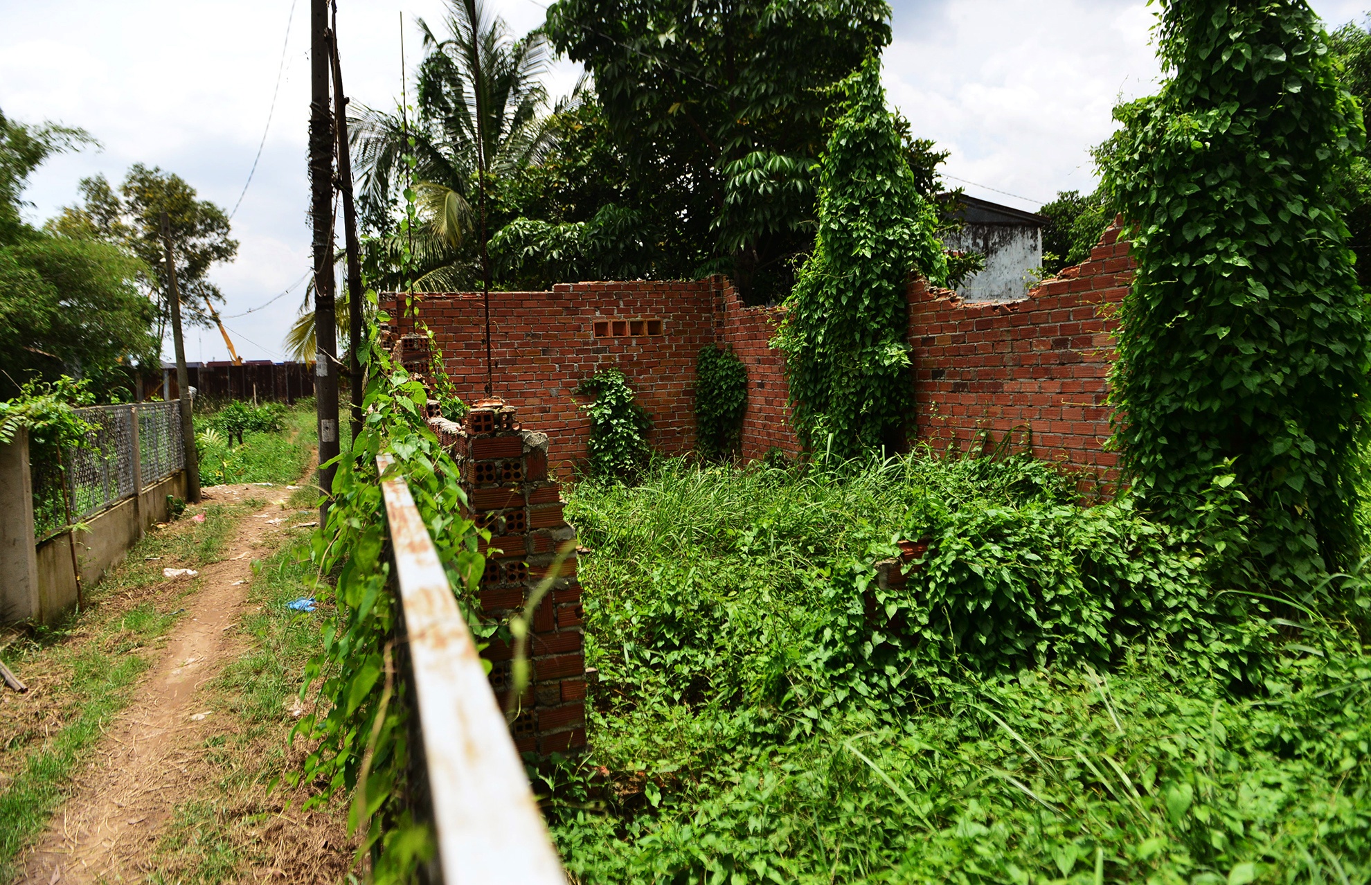 Canh mien que tren ban dao gan trung tam Sai Gon anh 12