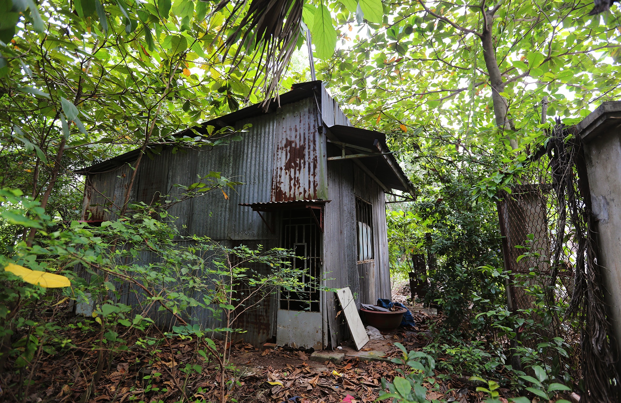 Canh mien que tren ban dao gan trung tam Sai Gon anh 14