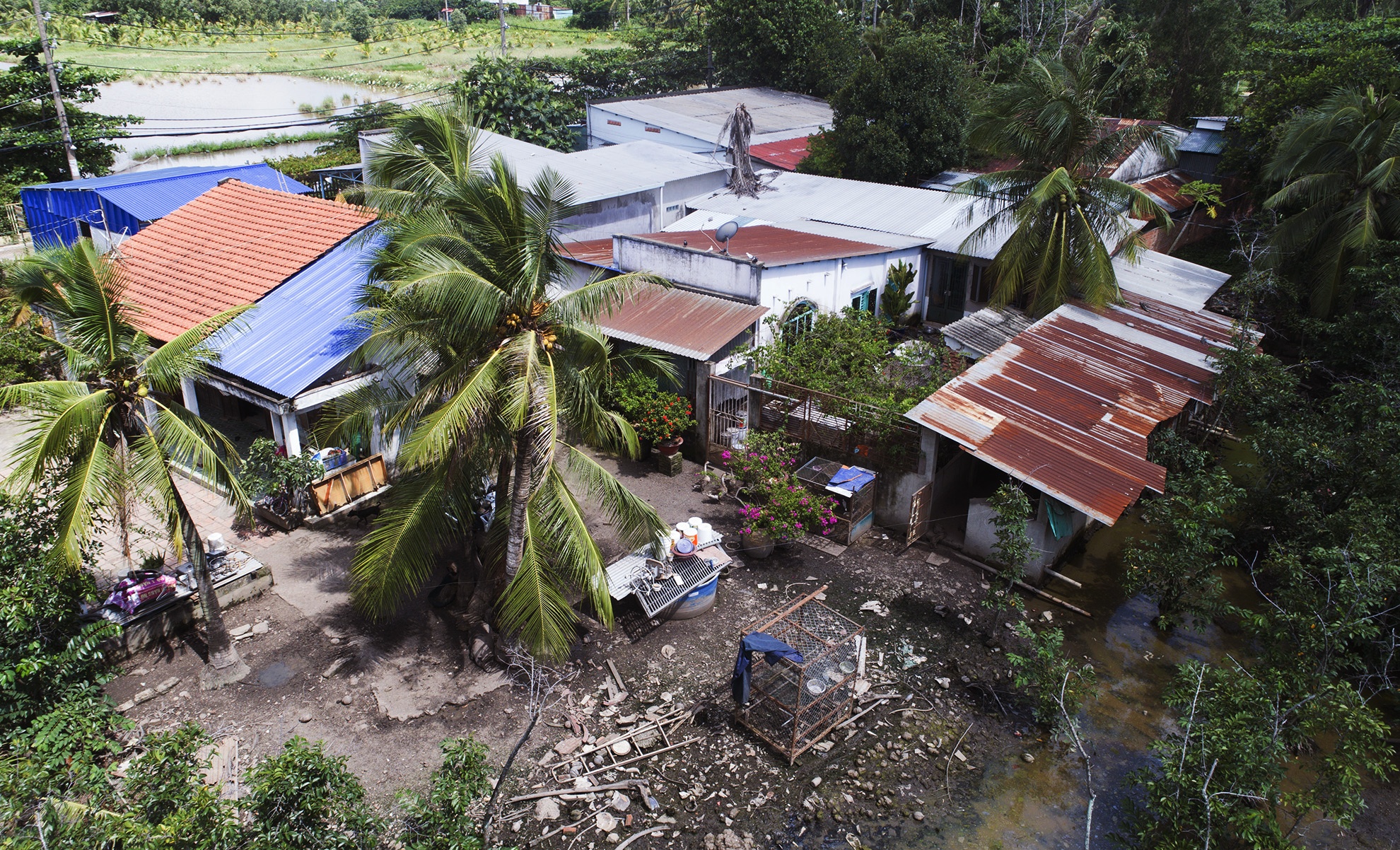 Canh mien que tren ban dao gan trung tam Sai Gon anh 5