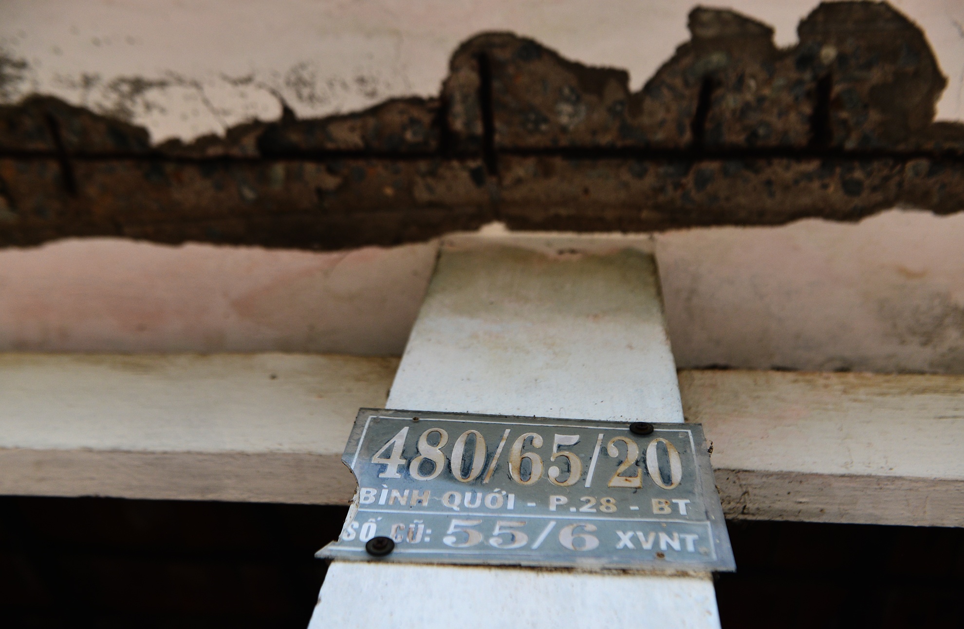 Canh mien que tren ban dao gan trung tam Sai Gon anh 10