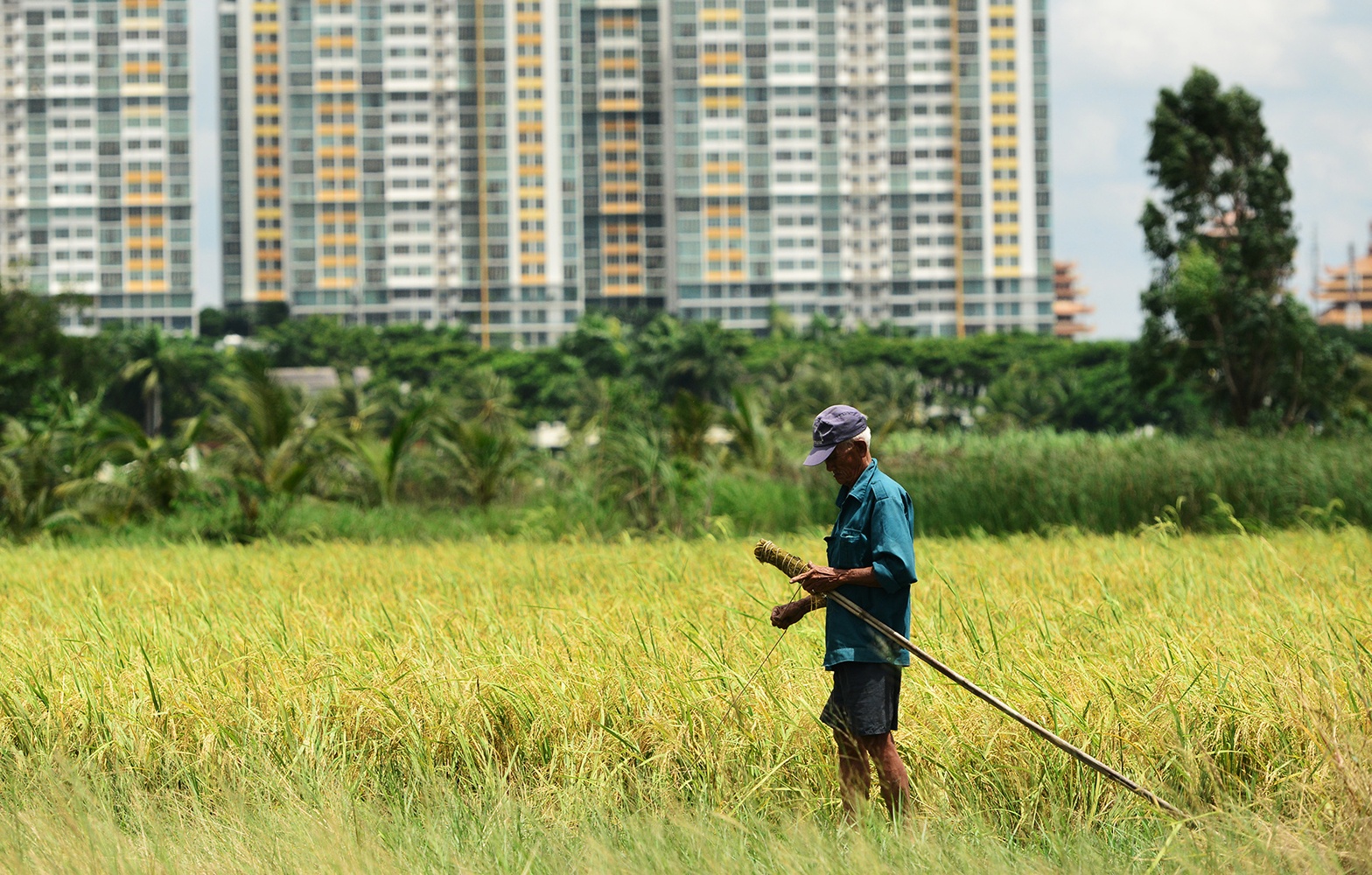 Ban dao Thanh Da, nong thon giua Sai Gon vi du an treo hon 20 nam hinh anh