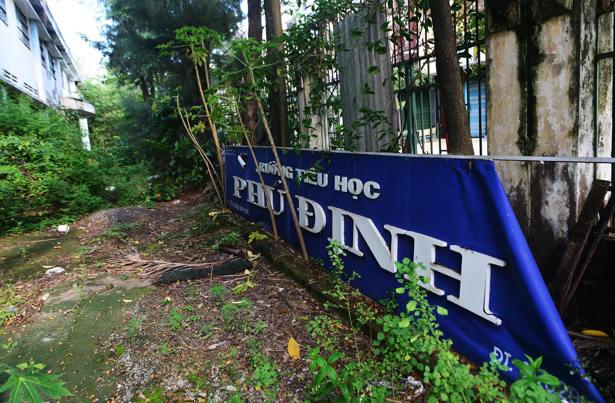 canh u am trong ngoi truong bo hoang o Sai Gon anh 9