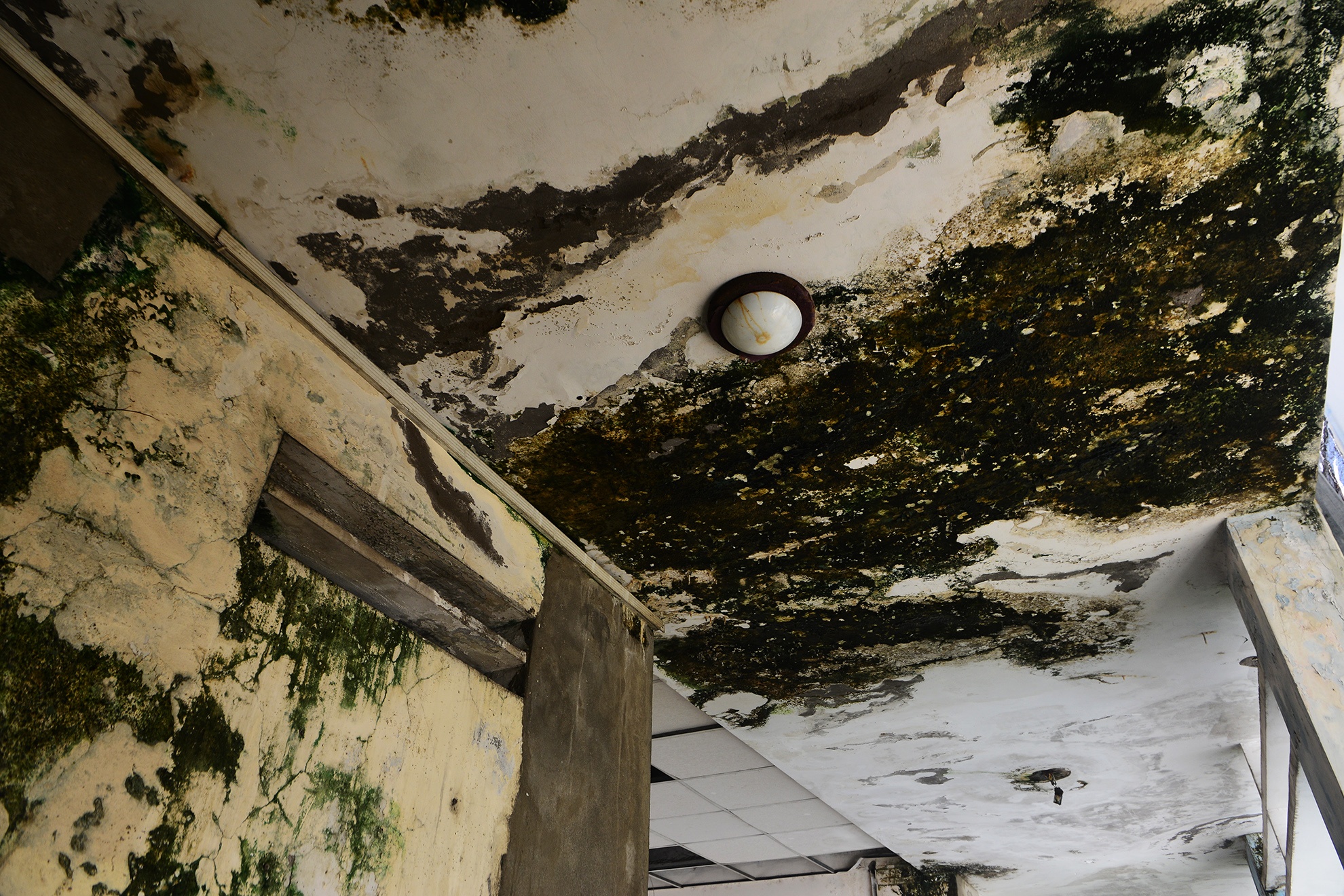 canh u am trong ngoi truong bo hoang o Sai Gon anh 16